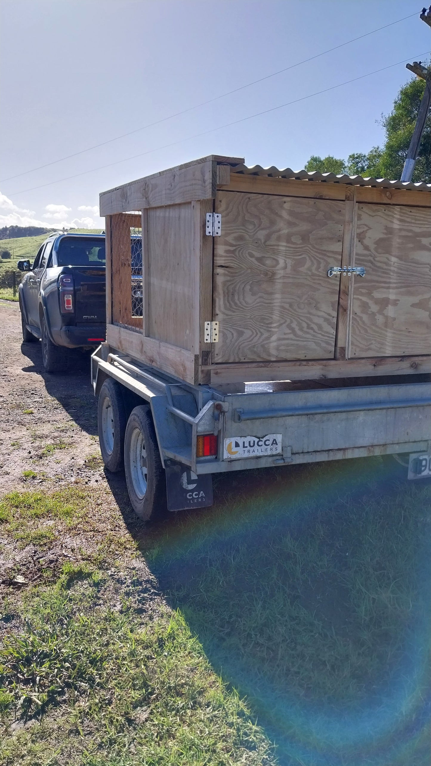 2 Bay Chain-link Kennel
