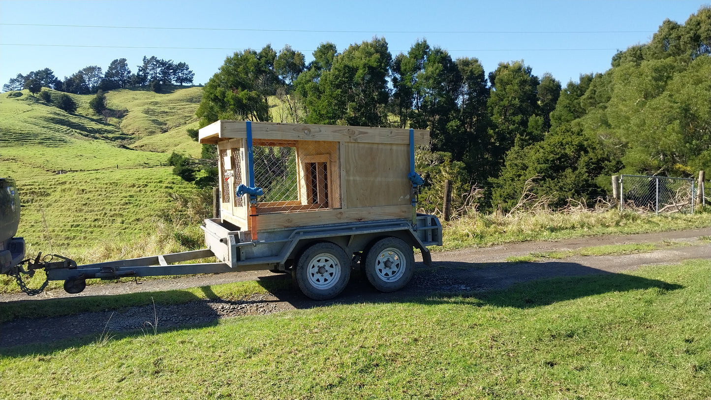 2 Bay Chain-link Kennel