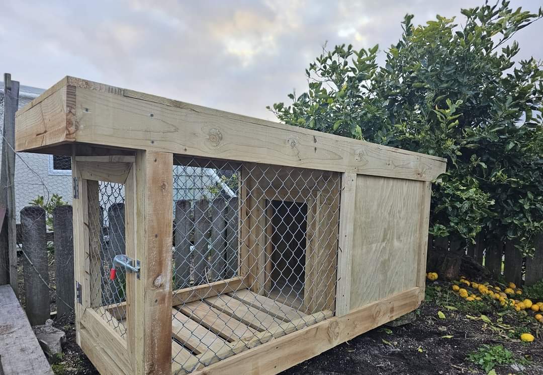 Single Bay Chain-link Kennel