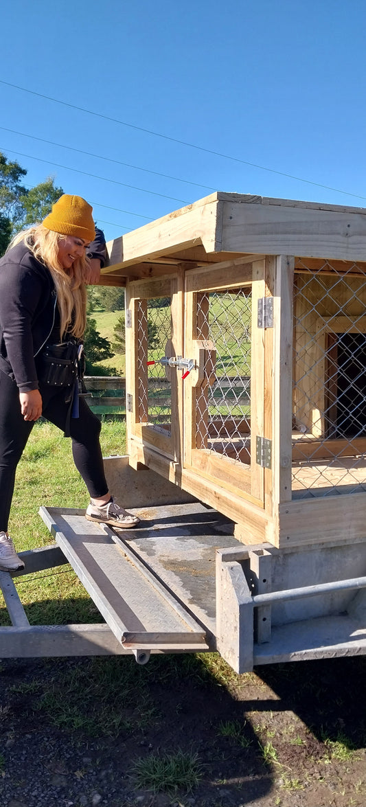 2 Bay Chain-link Kennel