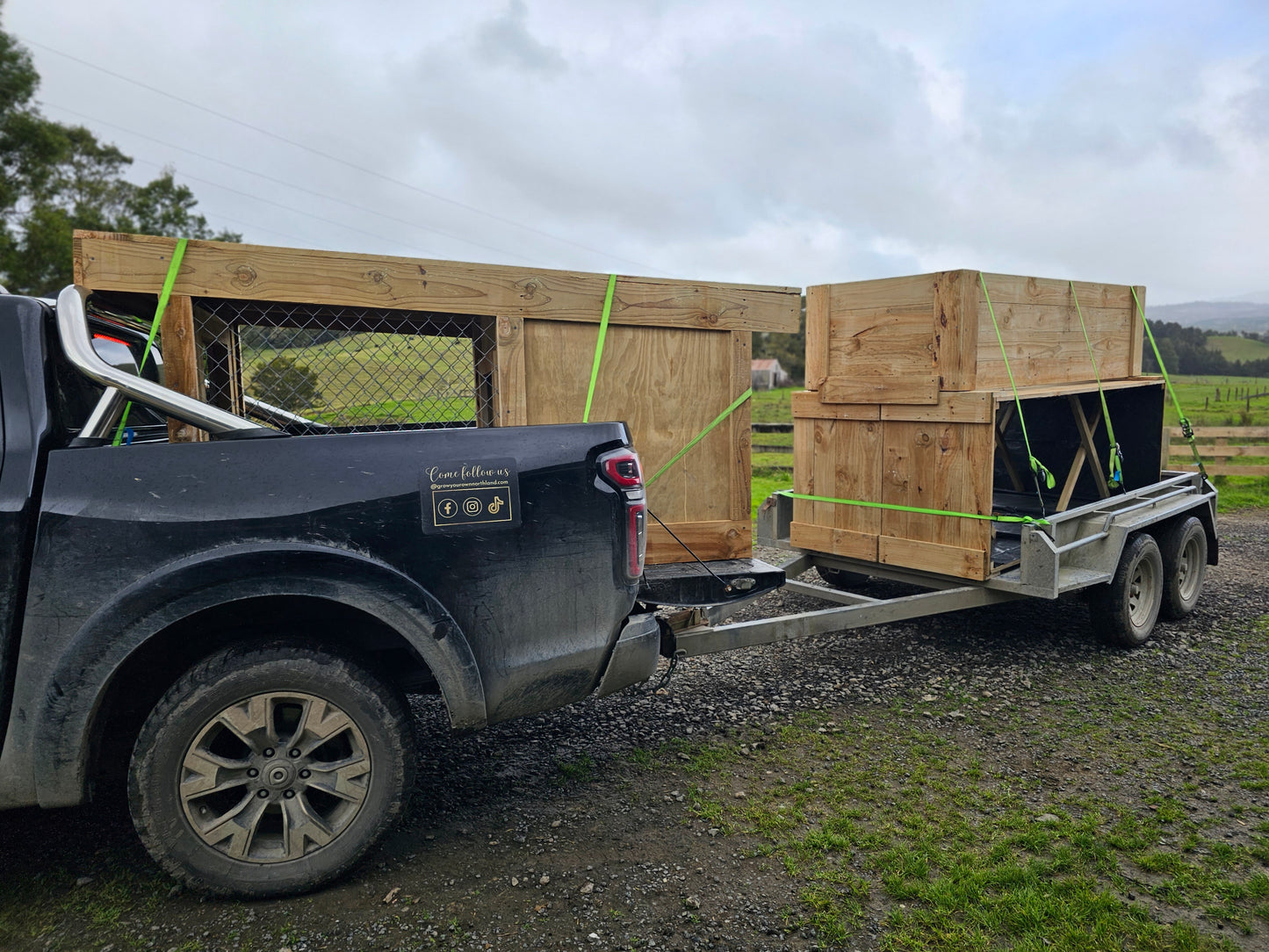 Single Bay Chain-link Kennel