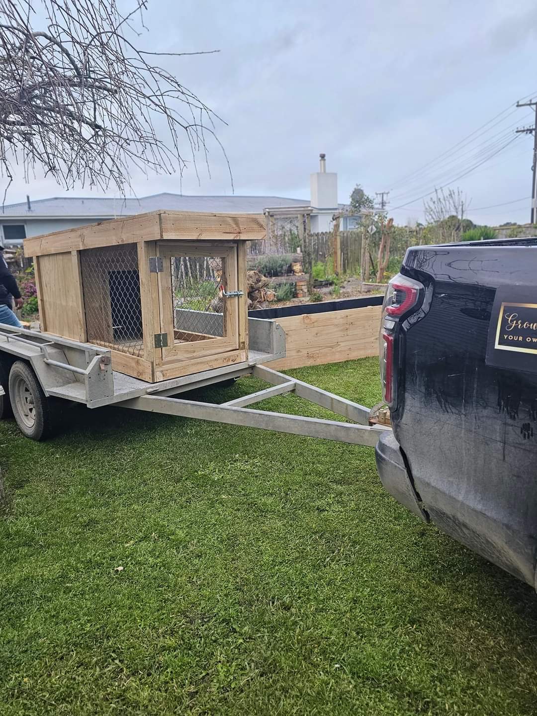 Single Bay Chain-link Kennel