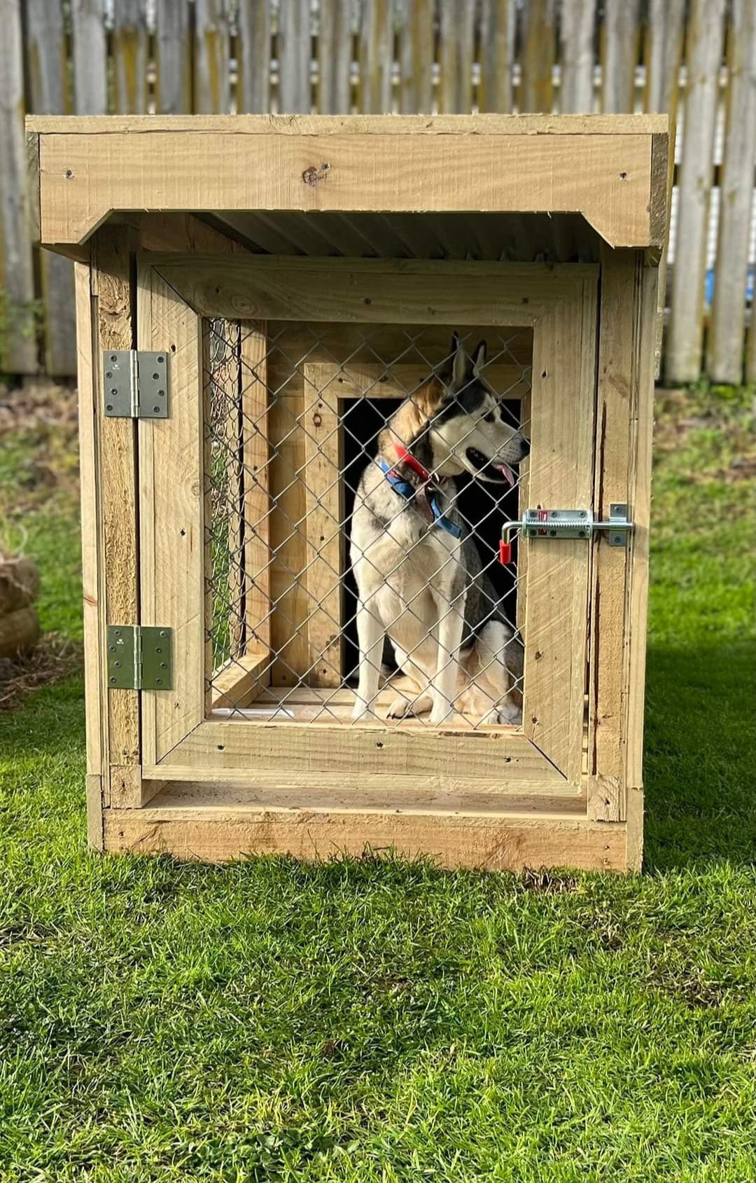 Single Bay Chain-link Kennel